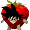 don_gatohp