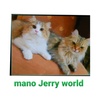 mano_jerry_world_