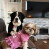 sassy_moose5280