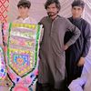 parwe230