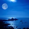 bluemoontonight2021