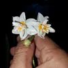 user1305964646183