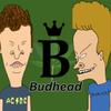 tiktok.budhead