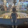 nehal.gamal22