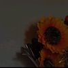 cnd_u