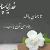 said.iqbal.rasouli
