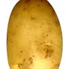 patatoide069