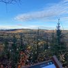 girlconifer