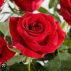 flowersroses71