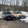 cameronw250