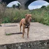 chrisharding22