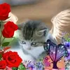 angelamaxi62
