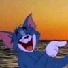 gadi977