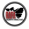 rafa.guppy.pinrang