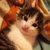 kary_nya