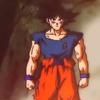 edits.goku.sallayin