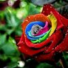 aboyasser30