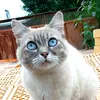 pravdadoroczhe