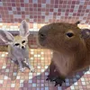 HARRY 原宿かわいい動物園