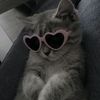 fatima._.1202
