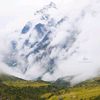 tmgnischal_07