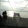 onedy659