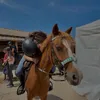 equit.chvl