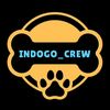 indogo_crew