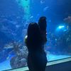 sarai__xh