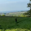 louis_2091