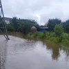 nobitaqng