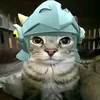 halleyzx_