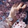 warda76527116