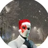 xxgho35