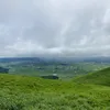 tararebatarareba