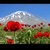 serdaryaren