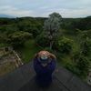 mchickendouble