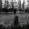 mohabmohamed3802