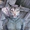 a_random_khajiit