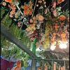 idcollection_s