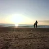 vinciaanto