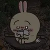 tiikawanousagi