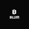 blum_boy1