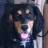 kimferris8