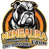 Nongaura Farm V.2