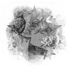 randomstuff7706