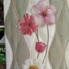 natan27257