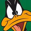 crazy_daffyduck