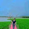 minhhuynh1801