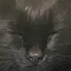 dimmieman